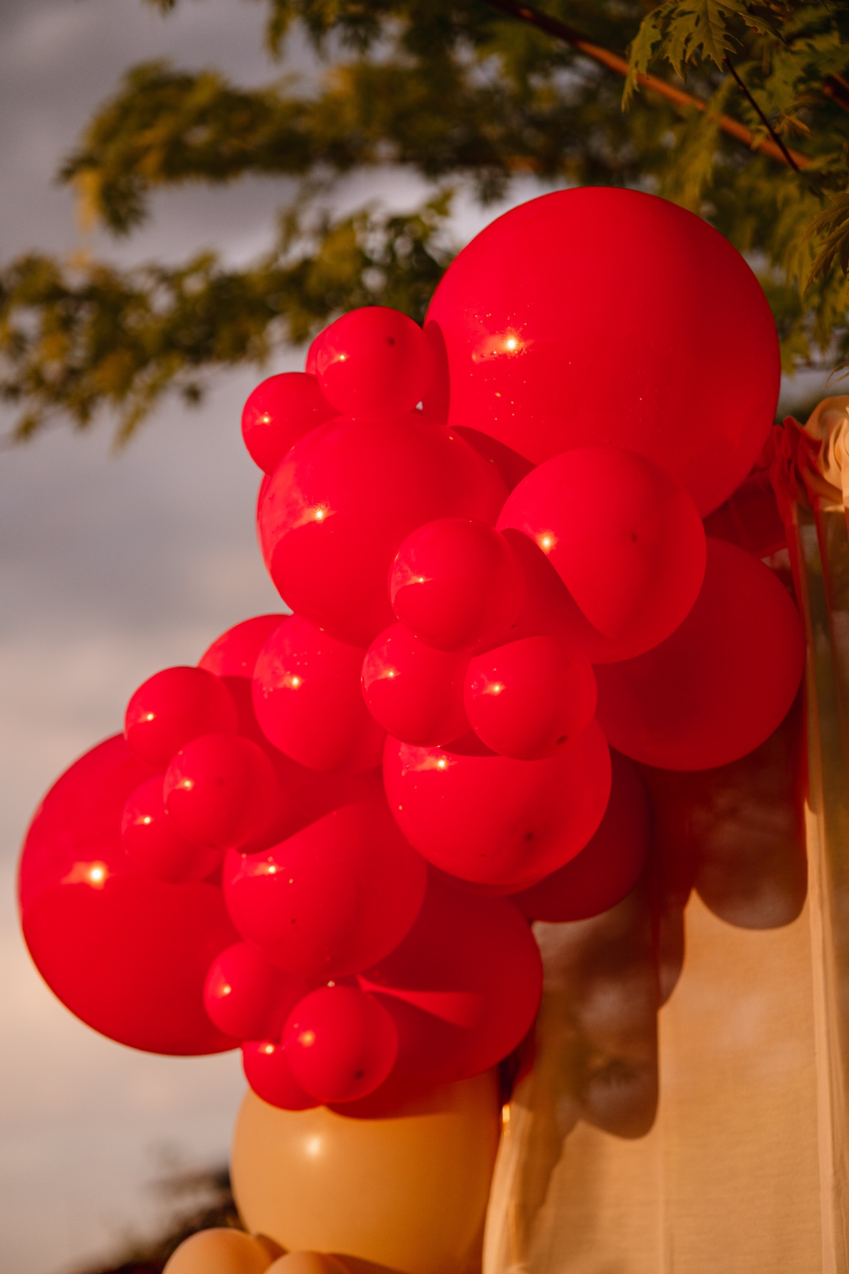 Dettaglio palloncini corallo al tramonto