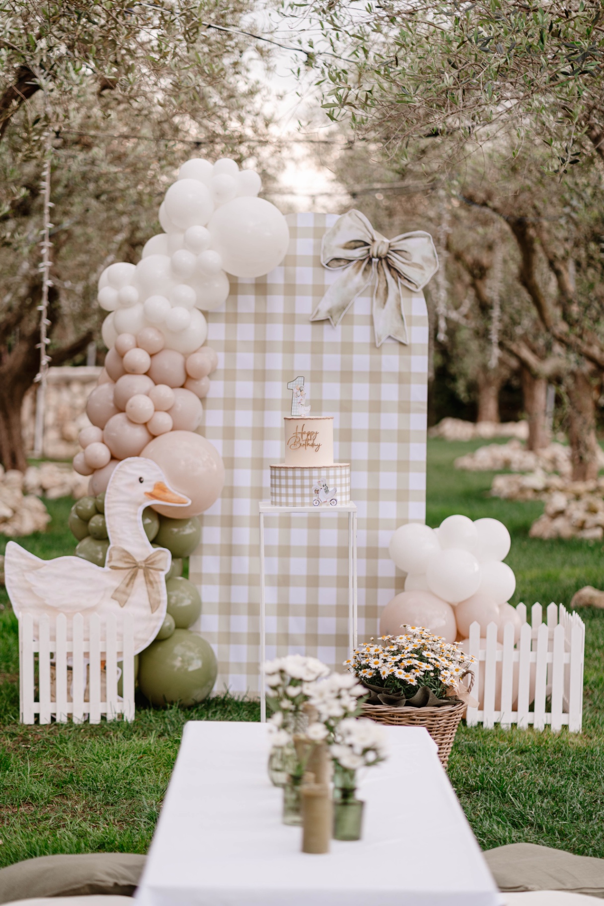 Set up primo compleanno tema oca country