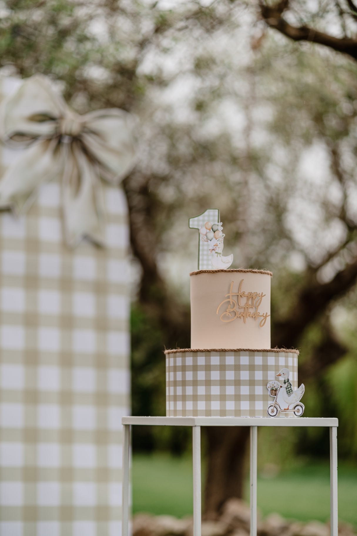 Torta scenografica coordinata tema oca