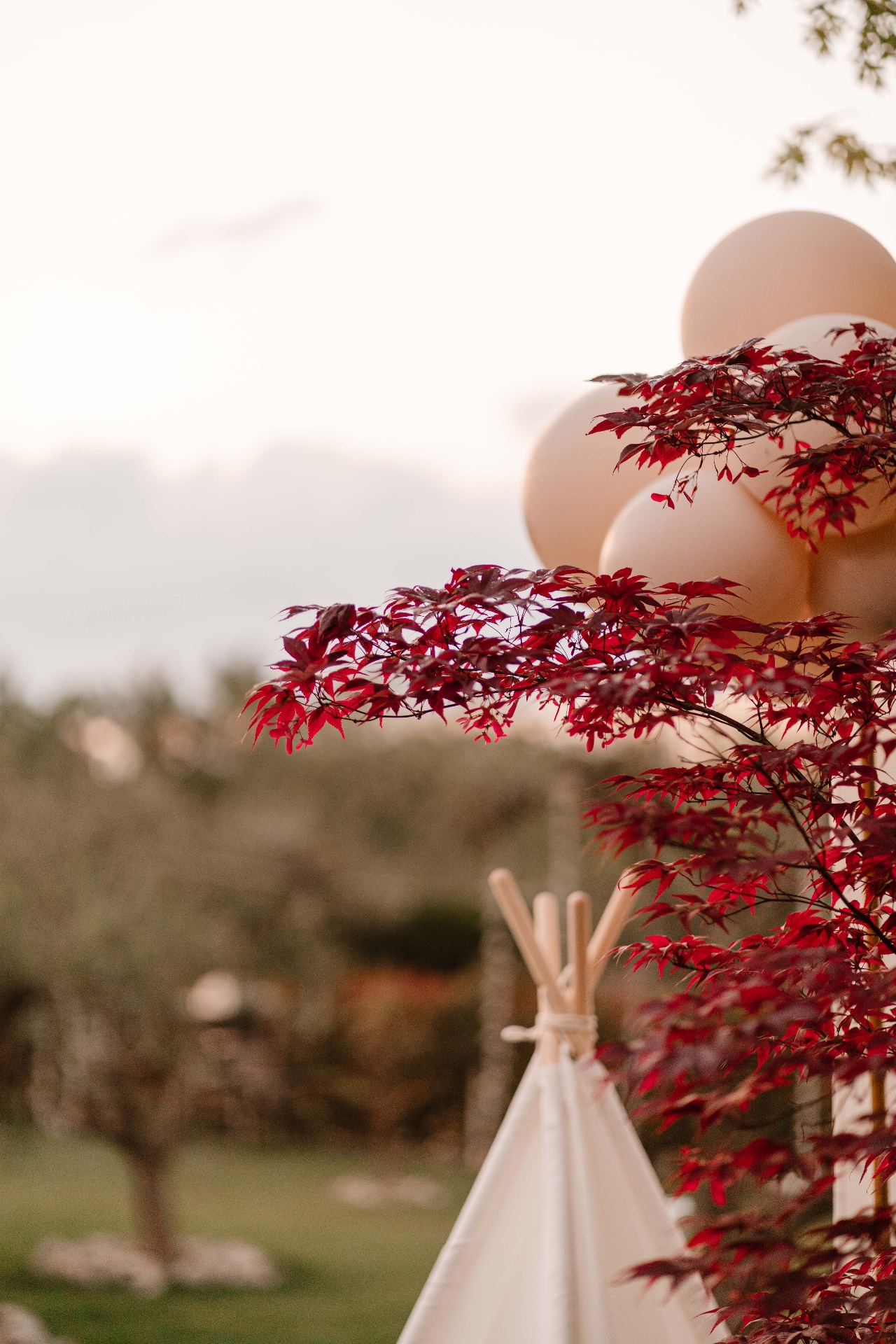Atmosfera al tramonto tra acero rosso e palloncini cipria